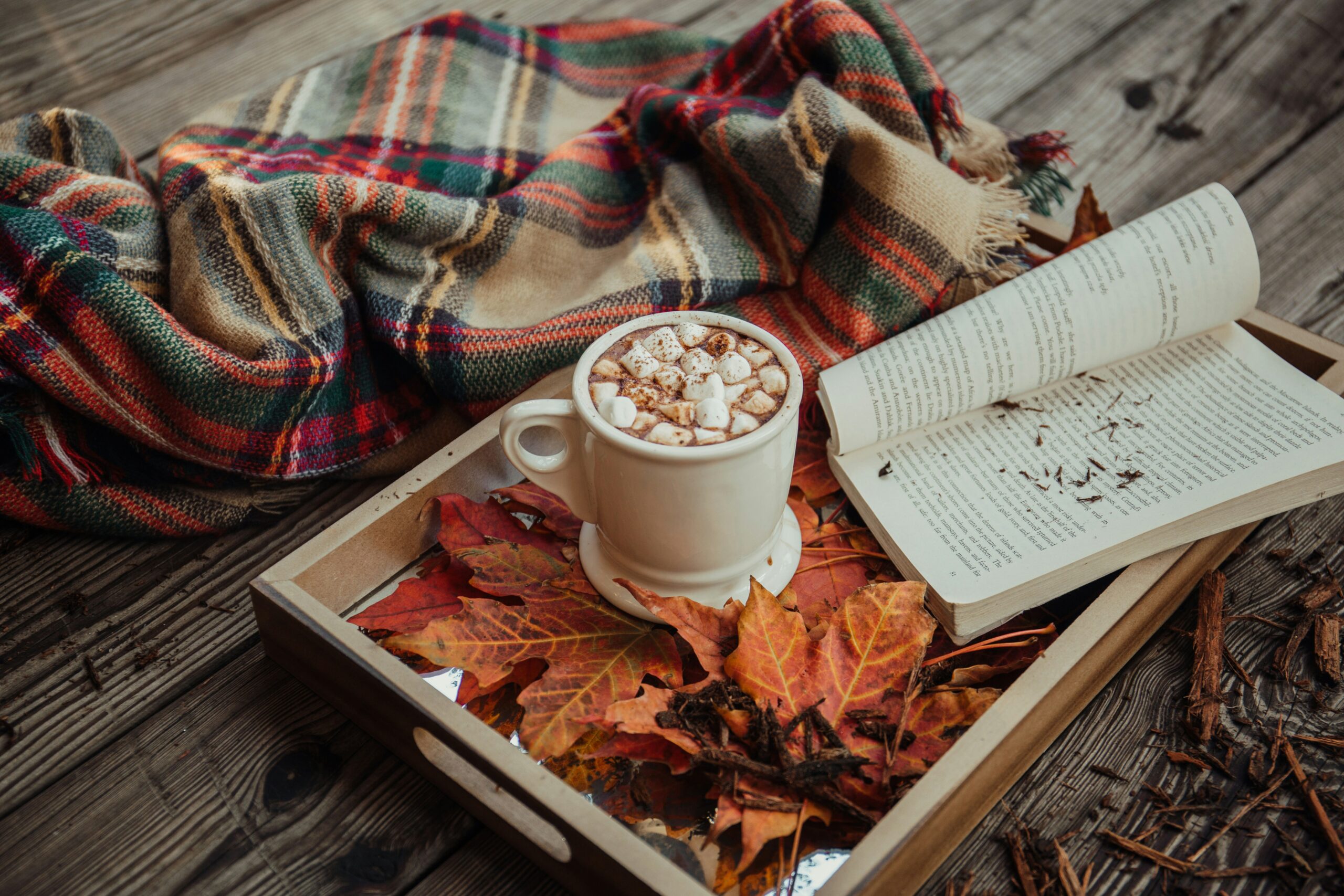Cozy Fall Reads: Embrace the Season with a Good Book